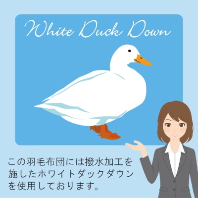 【シングル】洗濯機で洗える2枚合わせ羽毛ふとん(合い掛け+肌掛け)