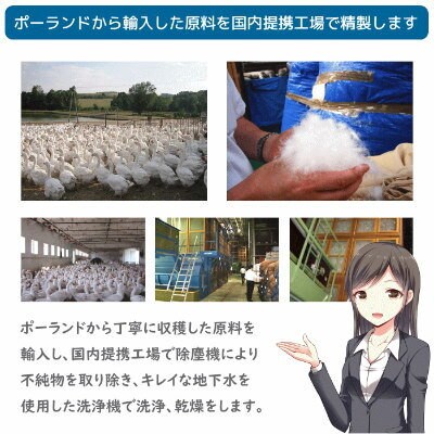 【プレミアムゴールド】コウダ種ポーランドマザーグース2枚合わせ羽毛ふとん(合い掛け+肌掛け)キング