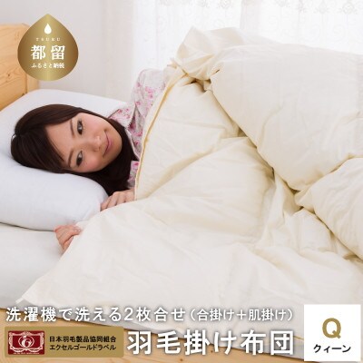 【クイーン】洗濯機で洗える2枚合わせ羽毛ふとん(合い掛け+肌掛け)