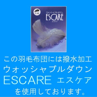 【クイーン】洗濯機で洗える2枚合わせ羽毛ふとん(合い掛け+肌掛け)