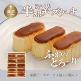 半熟チーズケーキ(約40g&times;10個入)