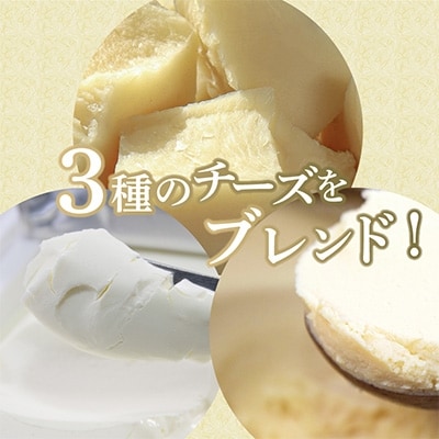 半熟チーズケーキ2箱(約40g×10個×2箱)