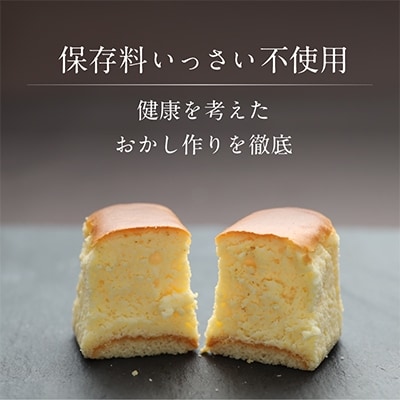 半熟チーズケーキ2箱(約40g×10個×2箱)
