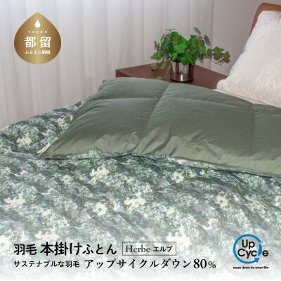 【富士新幸謹製】「サステナブルな羽毛布団」シングル 本掛けふとん[エルブ] アップサイクルダウン