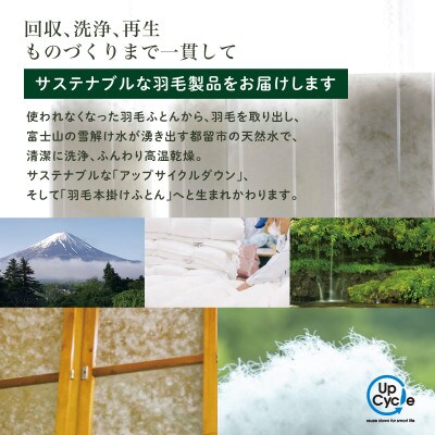 【富士新幸謹製】「サステナブルな羽毛布団」シングル 本掛けふとん[エルブ] アップサイクルダウン