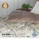 【富士新幸謹製】「サステナブルな羽毛布団」シングル 本掛けふとん[ラーチ] アップサイクルダウン