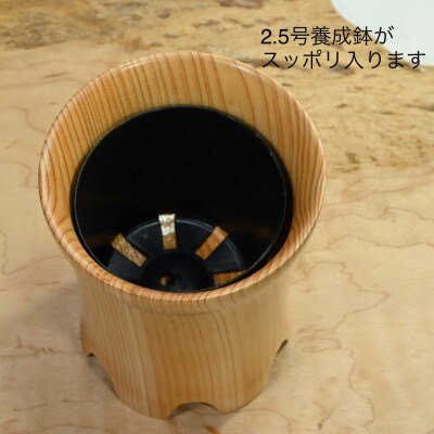 木製 鉢 2.5号 SA221