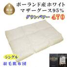 【ポーランド産マザーグース95%】羽毛肌布団シングル150×210cm【ダウンパワー470】