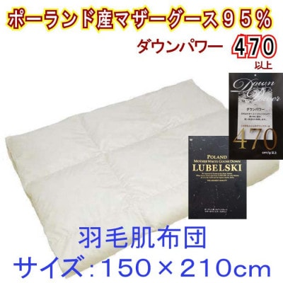 【ポーランド産マザーグース95%】羽毛肌布団シングル150×210cm【ダウンパワー470】