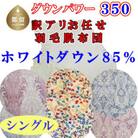 【訳あり】お任せ羽毛肌布団 ホワイトダウン85% 肌ふとん シングル 150×210cm dp350