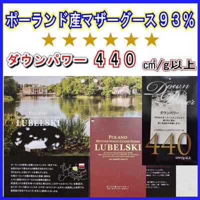 訳アリ 羽毛布団シングル ポーランド産マザーグース93%羽毛掛け150×210cmdp440立体