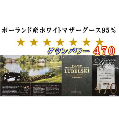 羽毛布団 ダブル ポーランド産マザーグース95%ダウンパワー470 100番手羽毛掛け布団