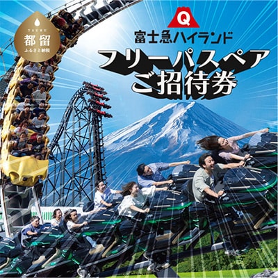富士急ハイランド　フリーパス　ペアチケット