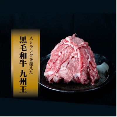 訳あり! 富士湧水ポーク切り落とし 九州王(黒毛和牛)切り落とし セット 2.8kg　