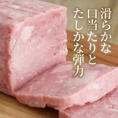 富士湧水ポーク 高原ハム・ソーセージセット(大)