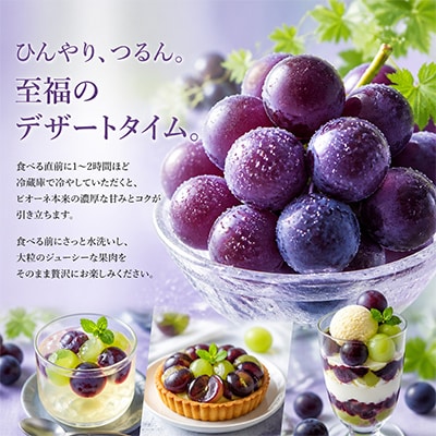 【2026年発送分先行受付】ピオーネ合計約1kg(2～3房)