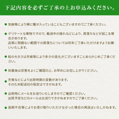 【2026年発送分先行受付】シャインマスカット約1.5kg(3～4房)