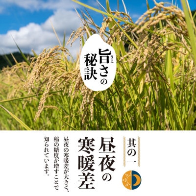 【新米予約】令和8年産　山梨県都留市産　こしひかり[10kg]【先行予約】