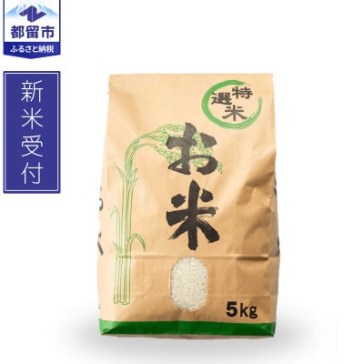 【新米予約】令和8年産　山梨県都留市産　こしひかり[5kg]【先行予約】