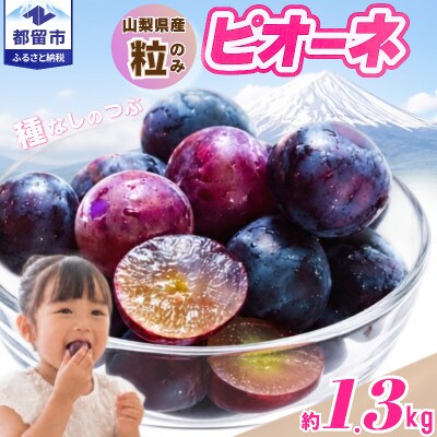 【2027年発送】ピオーネ　粒(約1.3kg)山梨県産フルーツ