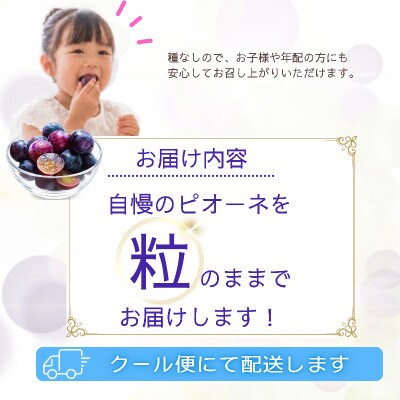 【2027年発送】ピオーネ　粒(約1.3kg)山梨県産フルーツ