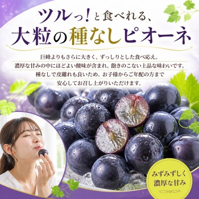 【2027年発送】ピオーネ　粒(約1.3kg)山梨県産フルーツ