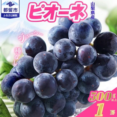 【2027年発送】ピオーネ1房(500g以上)山梨県産フルーツ