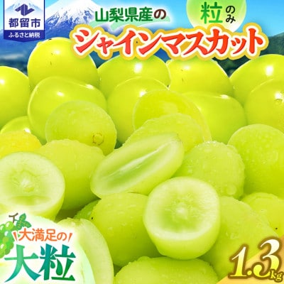 【2027年発送】シャインマスカット粒(約1.3kg)山梨県産フルーツ