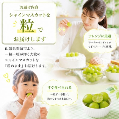 【2027年発送】シャインマスカット粒(約1.3kg)山梨県産フルーツ