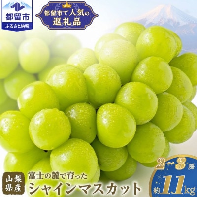【2027年発送】シャインマスカット 2～3房(計約1.1kg)山梨県産フルーツ