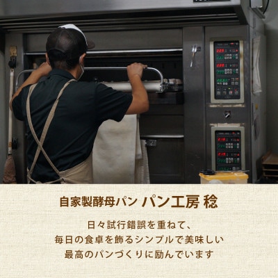 自家製酵母のパンセット2(10種類11個、食パン6枚切り)
