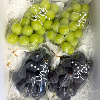 シャインマスカットと黒系ぶどう(藤稔・ピオーネ等)のセット　4房　約2.0kg以上