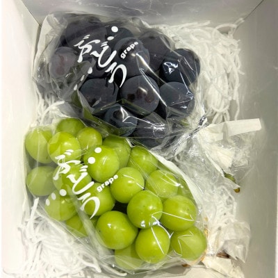 シャインマスカットと黒系ぶどう(藤稔・ピオーネなど)のセット　2房　約1.0kg以上