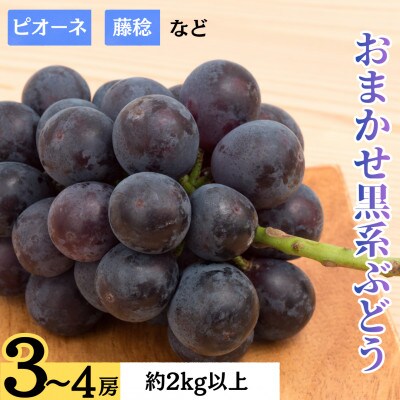 おまかせ黒系ぶどう(藤稔・ピオーネなど)　3～4房　2.0kg以上