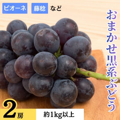 おまかせ黒系ぶどう(藤稔・ピオーネなど)　2房　約1.0kg以上　