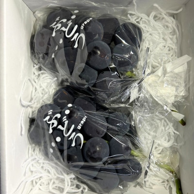 おまかせ黒系ぶどう(藤稔・ピオーネなど)　2房　約1.0kg以上　