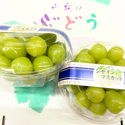 【ご家庭用つぶつぶ】シャインマスカット(粒)500g×2パック　