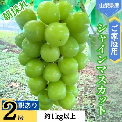 ���ƒ�p�V���C���}�X�J�b�g�u�󂠂�v�@2�[�@��1.0kg�ȏ�