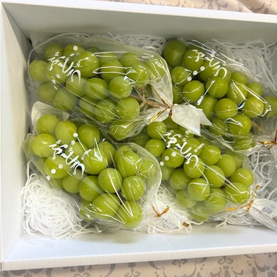 シャインマスカット　3～4房　約2.0kg以上