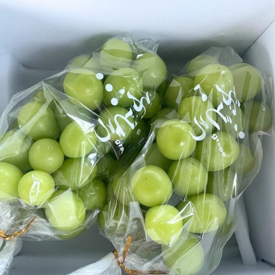 シャインマスカット　2房　約1.0kg以上