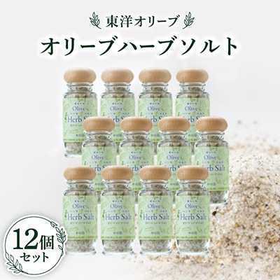 オリーブハーブソルト60g×12個セット