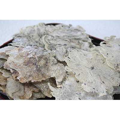 一ノ蔵のお魚せんべい　10g4個