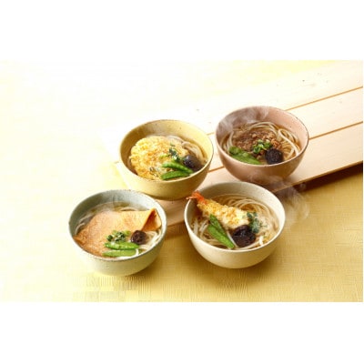 4種の具材が楽しめる冷凍調理うどん 4食