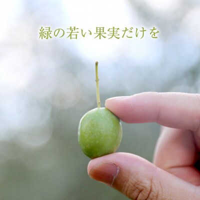【井上誠耕園】～2024年とれたて～ 新漬けオリーブ マンザニロ種 80g×10袋