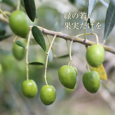 【井上誠耕園】～2024年とれたて～ 新漬けオリーブ ミッション種 80g×7袋