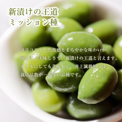 【井上誠耕園】～2024年とれたて～ 新漬けオリーブ ミッション種 80g×20袋