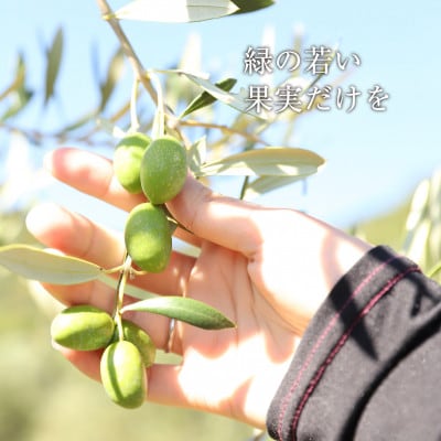 【井上誠耕園】～2024年とれたて～ 新漬けオリーブ アザパ種 250g