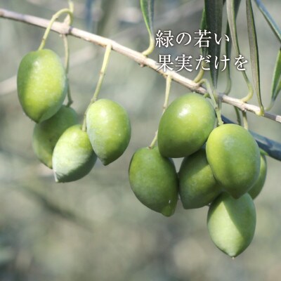【井上誠耕園】～2024年とれたて～ 新漬けオリーブ ピクアル種 250g