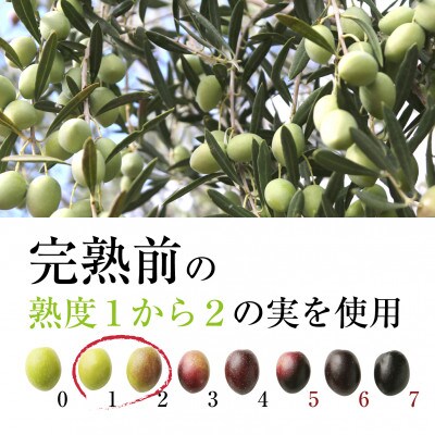 緑果オリーブオイル450g×2本セット