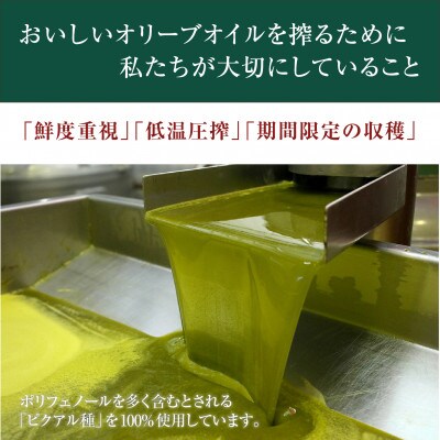 緑果オリーブオイル450g×2本セット